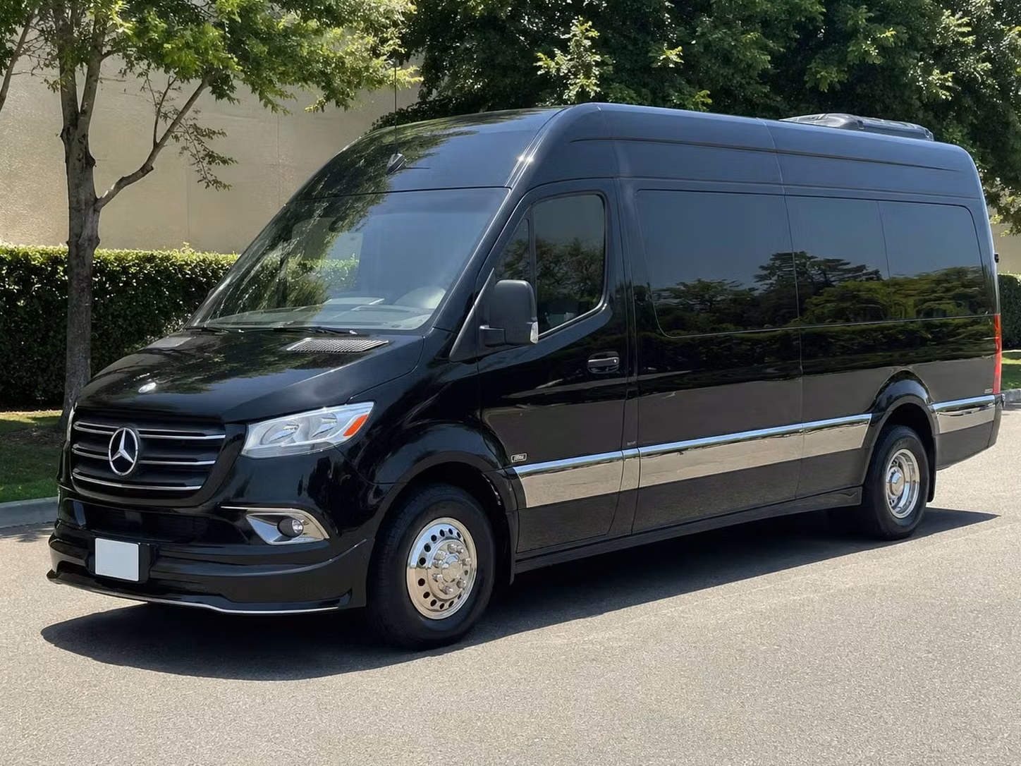 sprinter van with driver